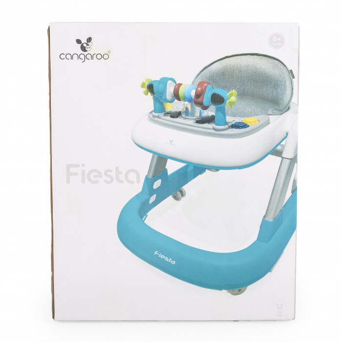 Baby Wlker Fiesta Petrol