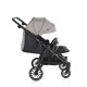 Baby Twin Stroller TwinGo Silver