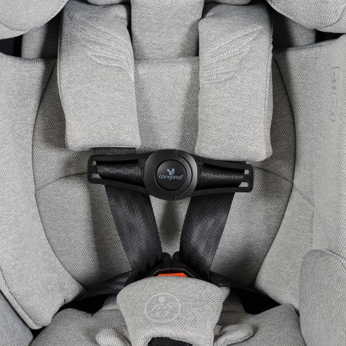 Ασφάλεια Ζώνης Καθίσματος Αυτοκινήτου Child Seat Security Clip Axero