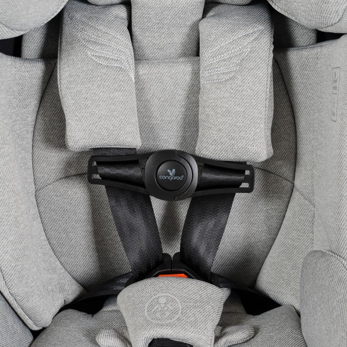 Ασφάλεια Ζώνης Καθίσματος Αυτοκινήτου Child Seat Security Clip Axero