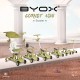 Scooter Cornet 6in1 Green