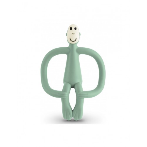 Μασητικό Οδοντοφυΐας Toy Mint Green