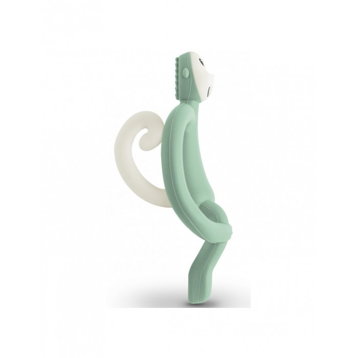 Μασητικό Οδοντοφυΐας Toy Mint Green