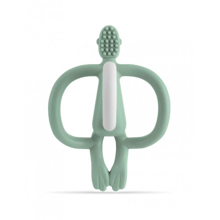 Μασητικό Οδοντοφυΐας Toy Mint Green