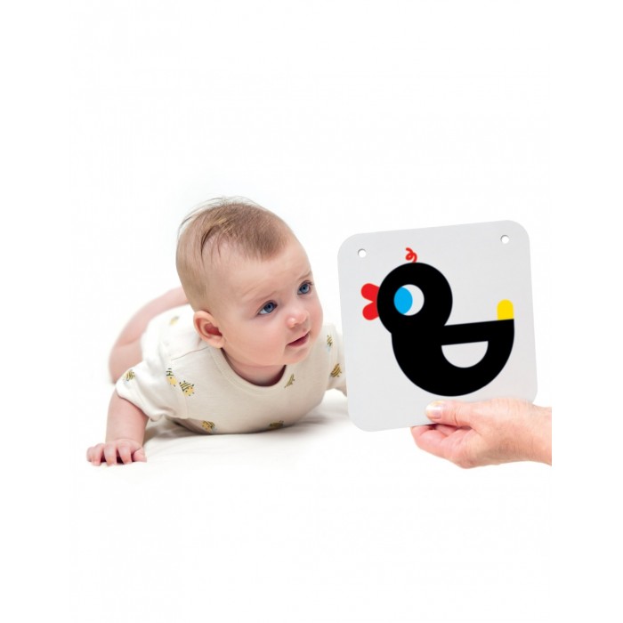 Εκπαιδευτικό Παιχνίδι High Contrast Baby Cards